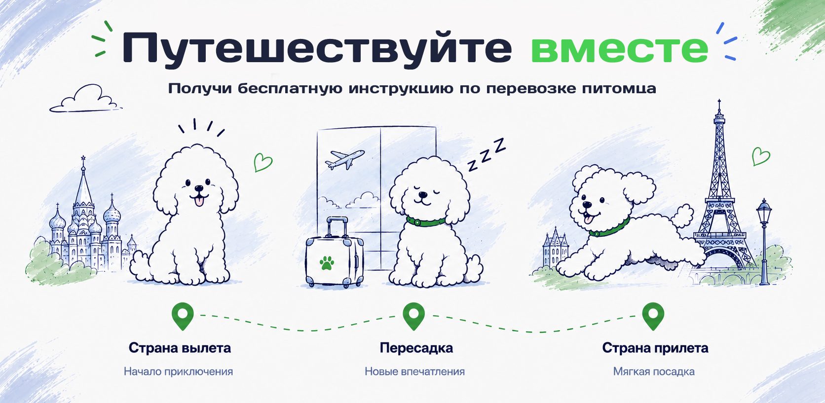 Путешествуйте вместе с питомцем