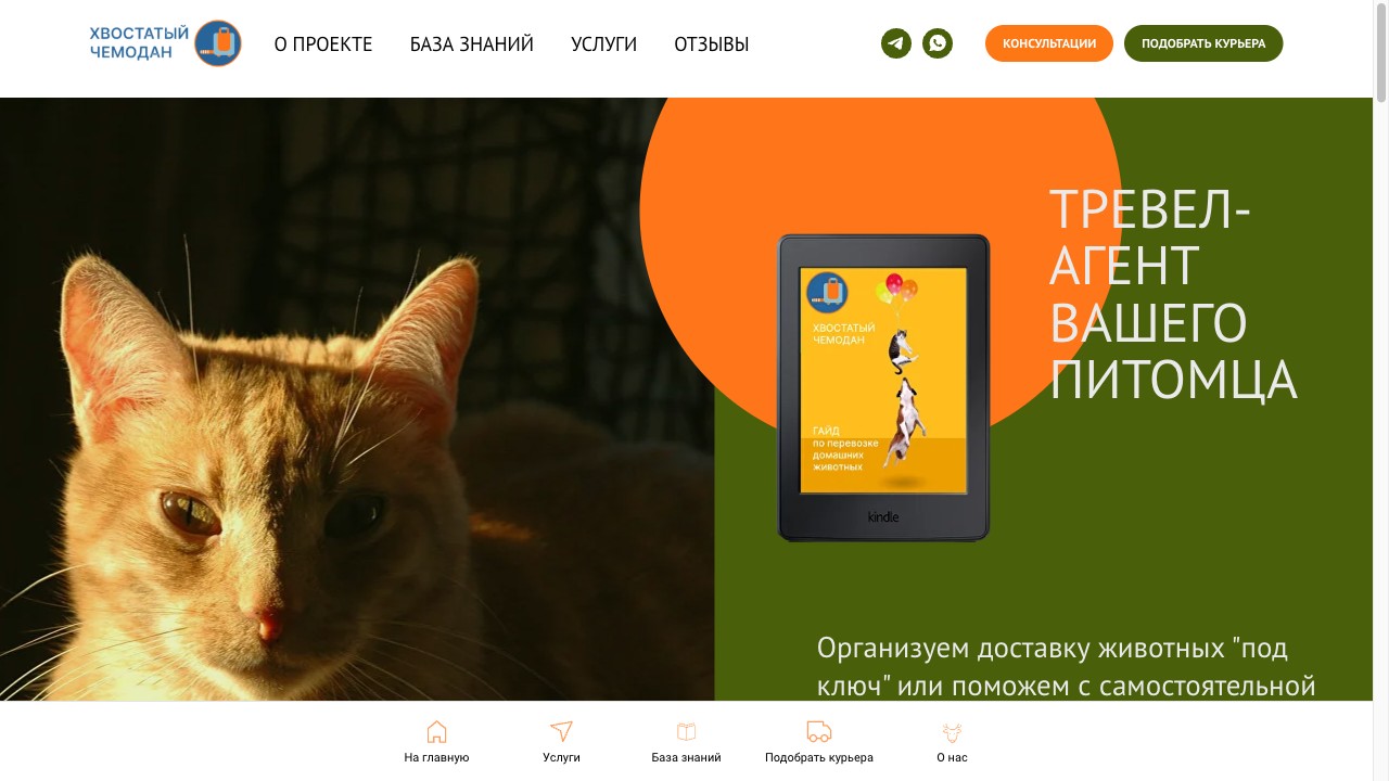 Хвостатый чемодан
